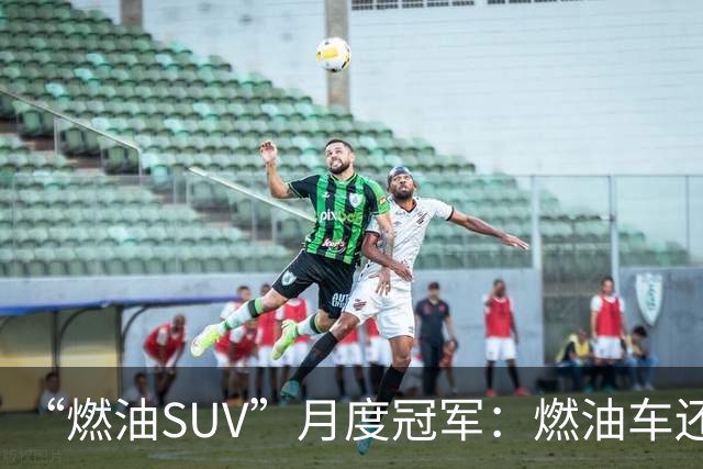 “燃油SUV”月度冠军：燃油车还没亡，单月零售量达到16865辆