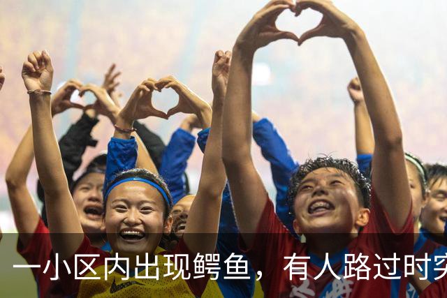 一小区内出现鳄鱼，有人路过时突然弹起并张嘴，当地消防人员：体长约1米，已现场处理