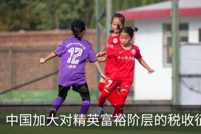 中国加大对精英富裕阶层的税收征管力度
