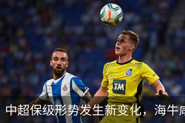 中超保级形势发生新变化，海牛咸鱼难翻身，津门虎剩余赛程太凶险