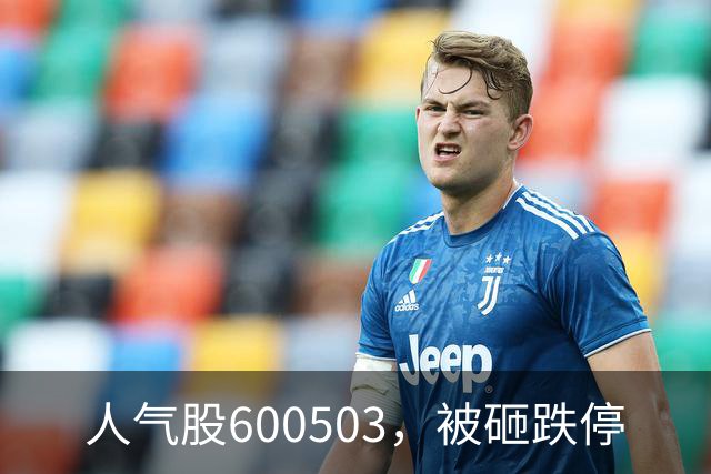 人气股600503，被砸跌停