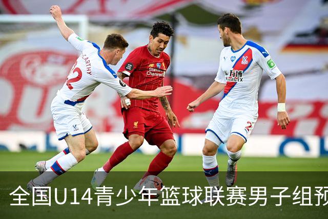 全国U14青少年篮球联赛男子组预赛排名出炉 赛区前八晋级决赛阶段