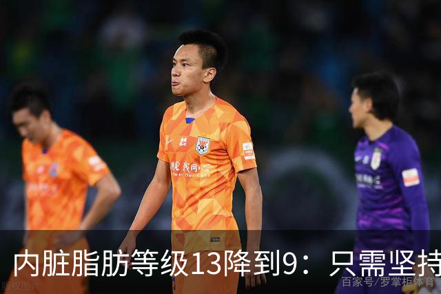 内脏脂肪等级13降到9：只需坚持6个行为，腰围就持续下降了
