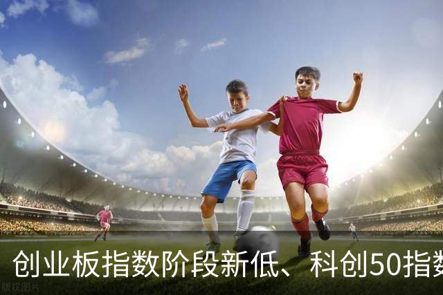 创业板指数阶段新低、科创50指数重挫 A股急跌后是风险还是机会？