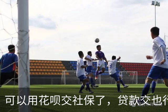 可以用花呗交社保了，贷款交也行