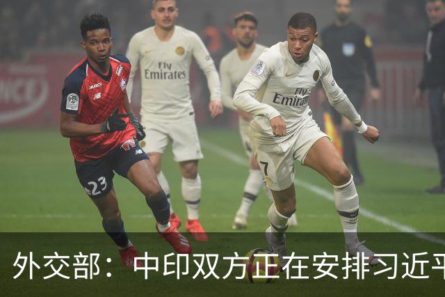 外交部：中印双方正在安排习近平主席同印度总理莫迪举行双边会晤