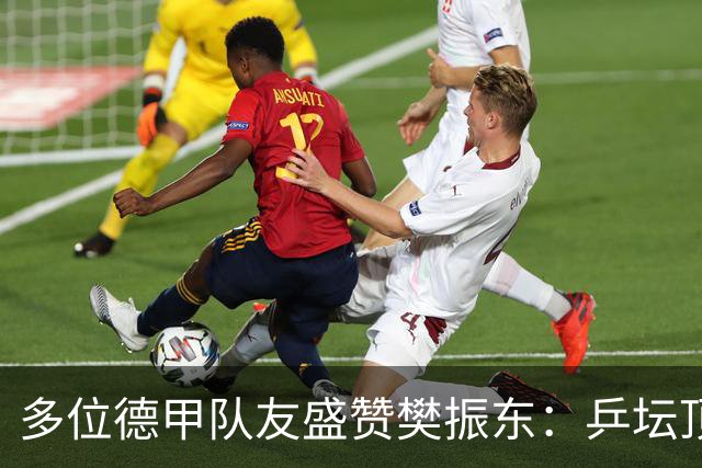 多位德甲队友盛赞樊振东：乒坛顶级球员，能和他成为队友是一种荣耀
