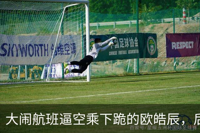 大闹航班逼空乘下跪的欧皓辰，后续来了：企业十天不敢认领，公司切割的背后，全在算利益账