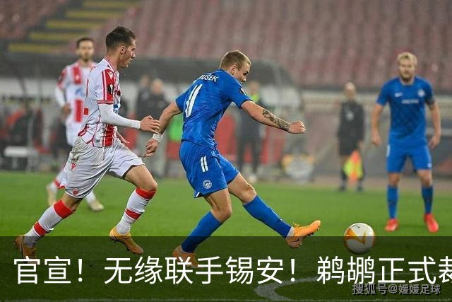官宣！无缘联手锡安！鹈鹕正式裁掉41岁中锋