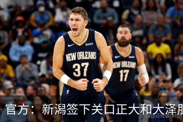 官方：新潟签下关口正大和大泽朋也
