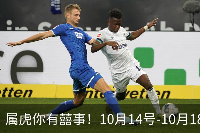 属虎你有囍事！10月14号-10月18号，今年最大的一桩美事降临