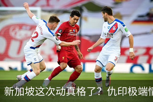 新加坡这次动真格了？仇印极端情绪终究还是失控了