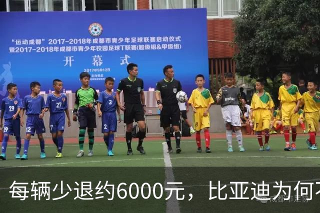 每辆少退约6000元，比亚迪为何不涨价？