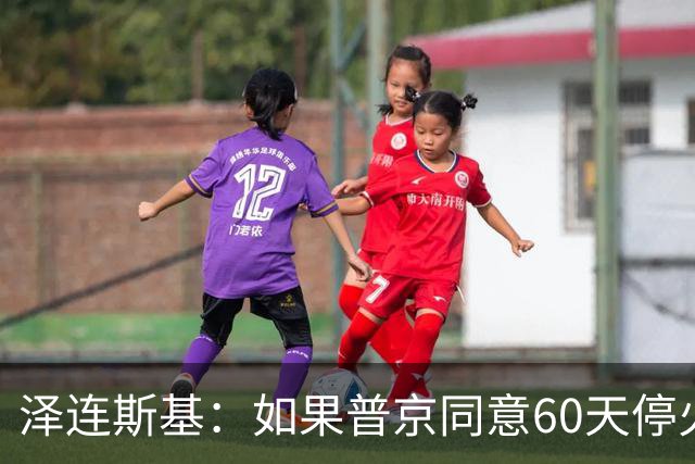 泽连斯基：如果普京同意60天停火，乌克兰将举行选举
