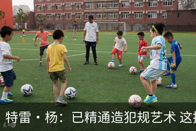 特雷·杨：已精通造犯规艺术 这招确实挺招人恨