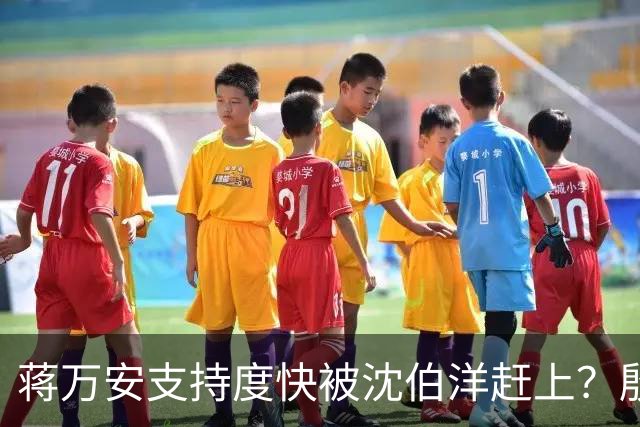蒋万安支持度快被沈伯洋赶上？殷玮曝内参民调：领先幅度仍有二位数
