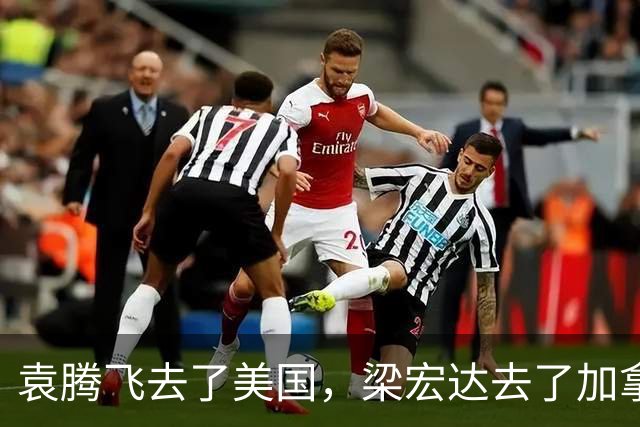 袁腾飞去了美国，梁宏达去了加拿大？