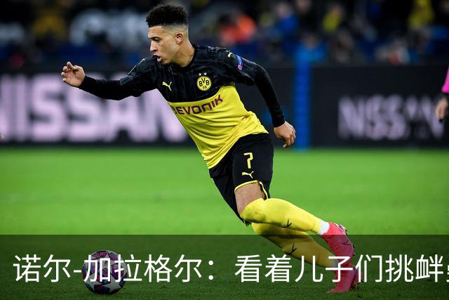 诺尔-加拉格尔：看着儿子们挑衅曼联球迷，我很骄傲