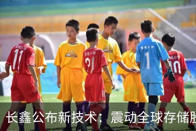 长鑫公布新技术：震动全球存储股大跌！