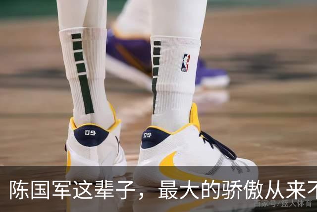 陈国军这辈子，最大的骄傲从来不是刘晓庆，是从小没爹的儿子陈赫