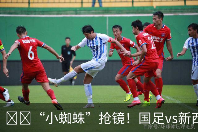 🕷️“小蜘蛛”抢镜！国足vs新西兰转播镜头上出现蜘蛛身影