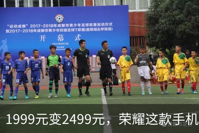 1999元变2499元，荣耀这款手机官网涨价500元
