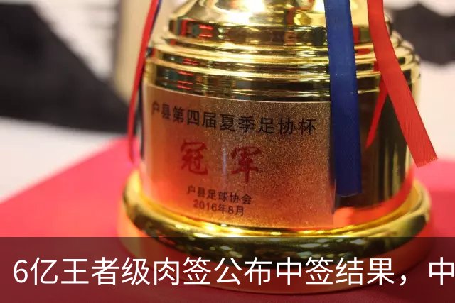 6亿王者级肉签公布中签结果，中签号码共有21.03万个，股民中签较容易！